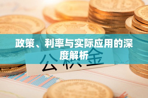 章贡政策、利率与实际应用的深度解析