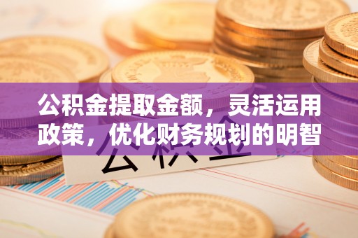 章贡公积金提取金额，灵活运用政策，优化财务规划的明智选择