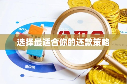 章贡选择最适合你的还款策略